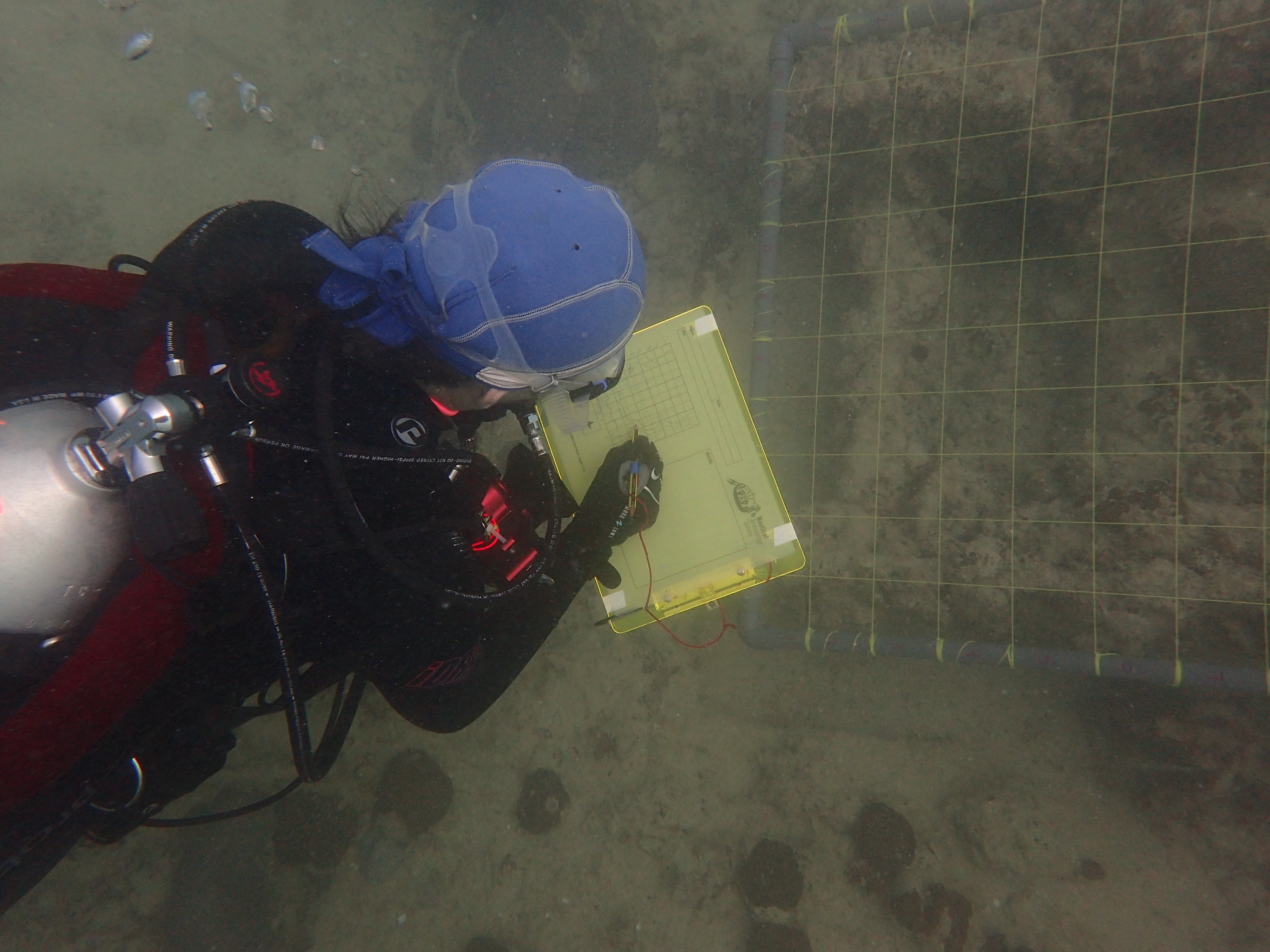 Surveying an underwater wreck in Abu Dhabi